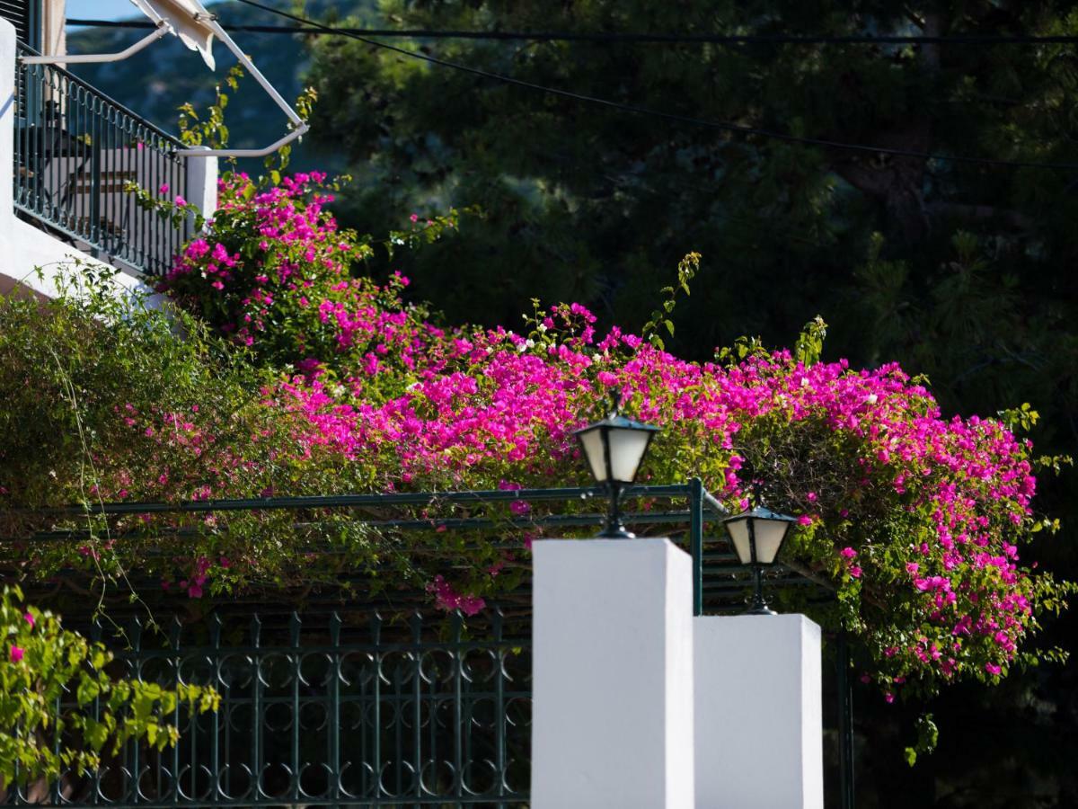 Casa Buganvilla Minia Exterior photo